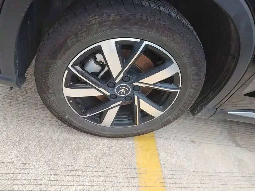 BYD Pro New Energy — миниатюра 23