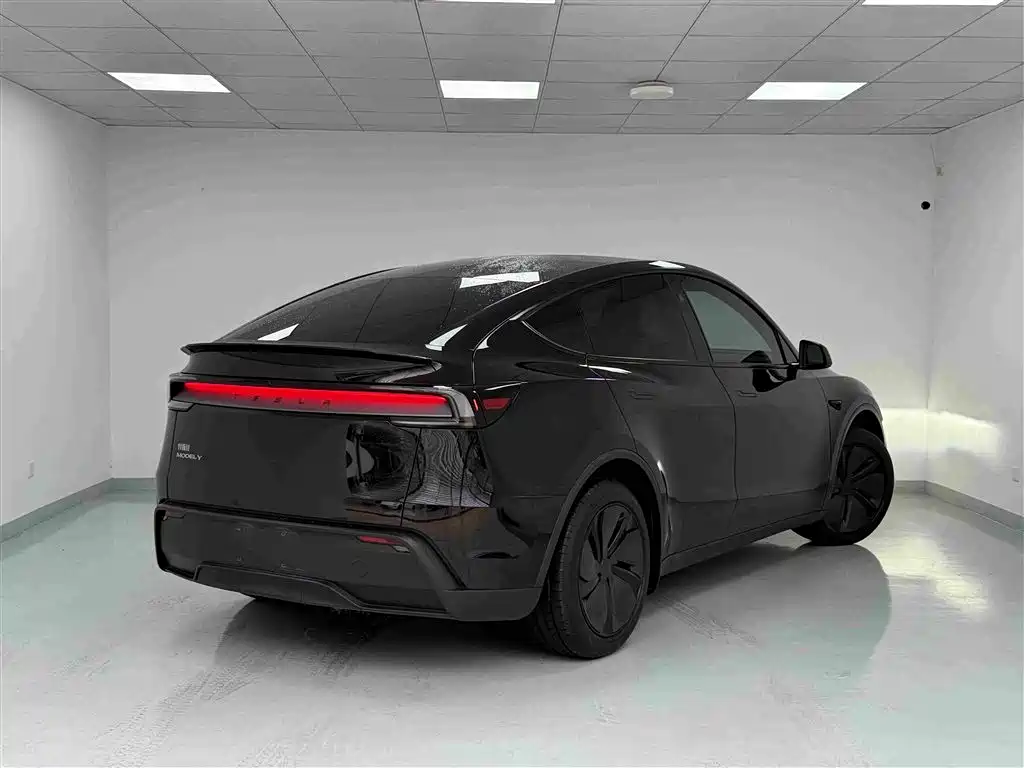 Tesla Model Y — миниатюра 20