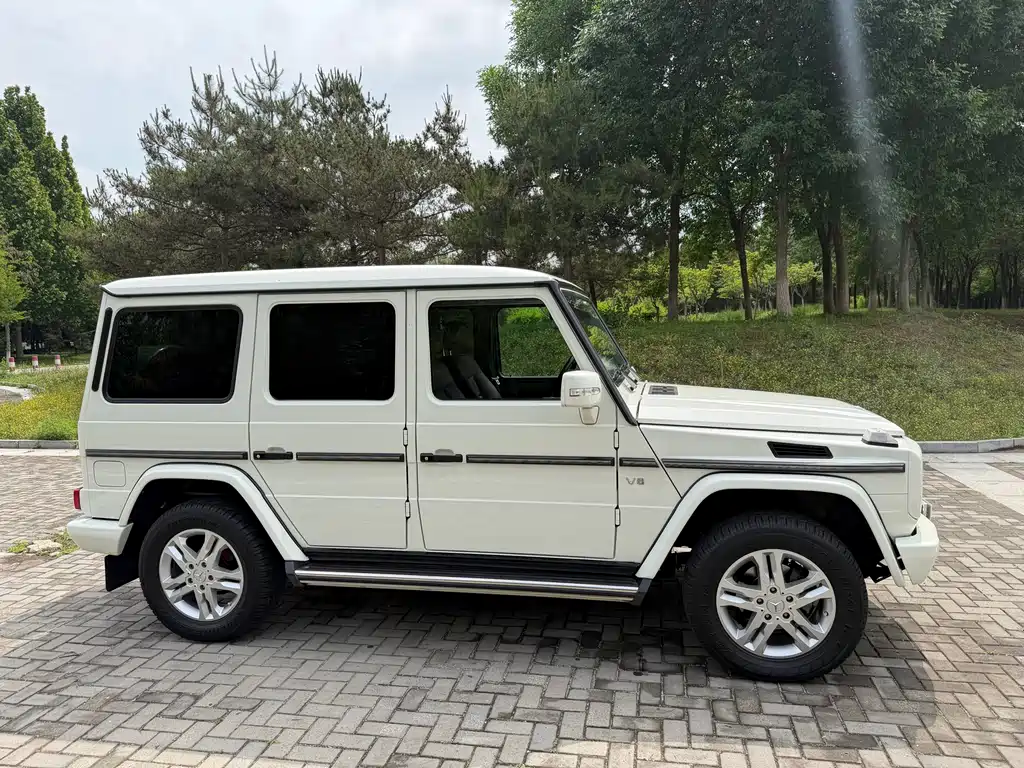 Mercedes-Benz G-Class G 2010 G 500