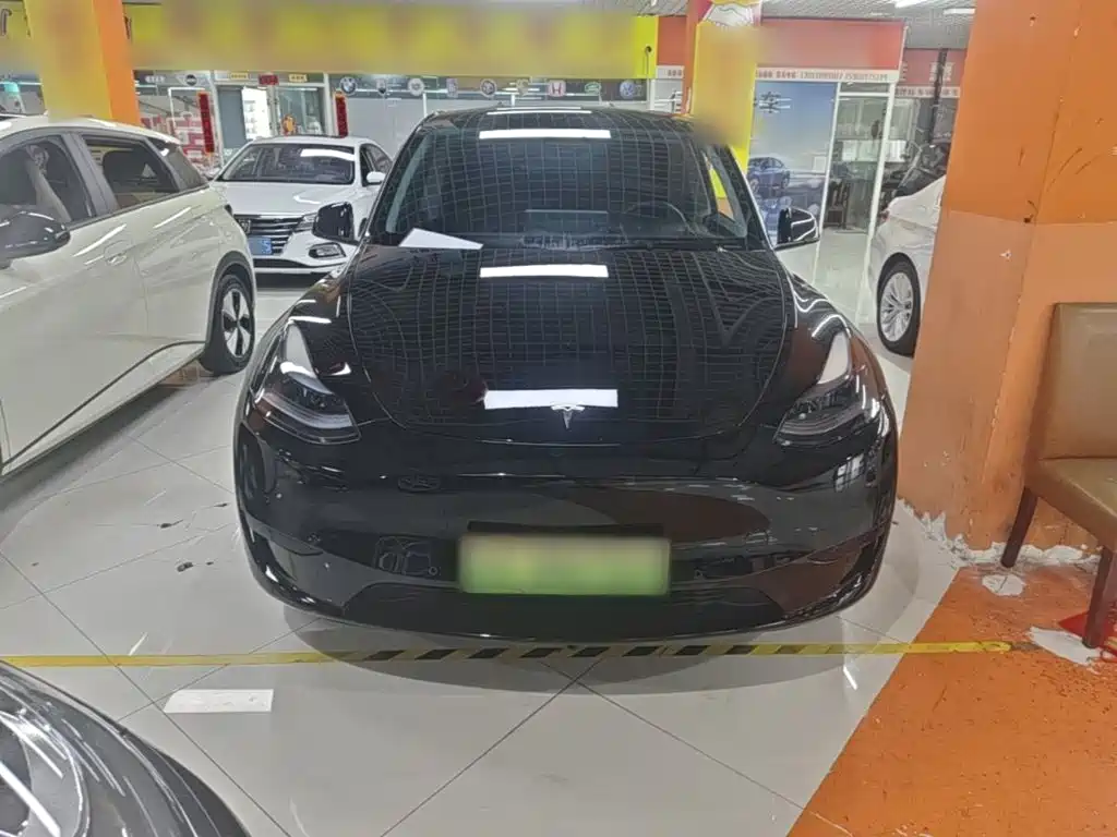 Tesla Model Y — миниатюра 3