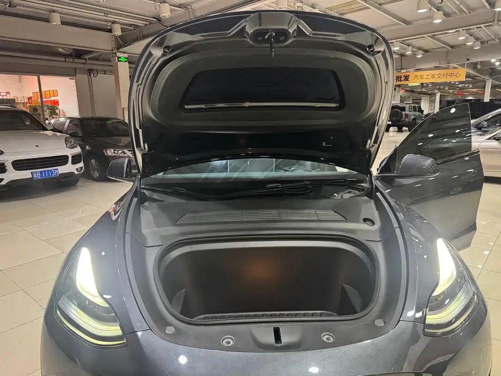 Tesla Model Y — миниатюра 14