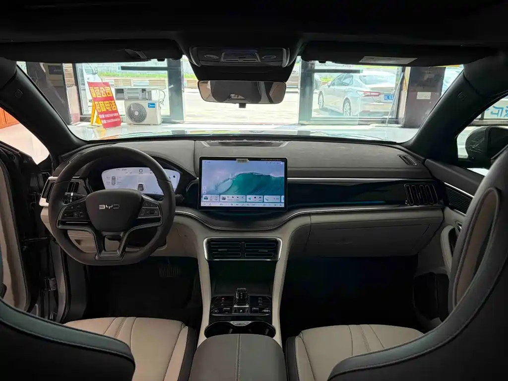 BYD PLUS New Energy — миниатюра 11