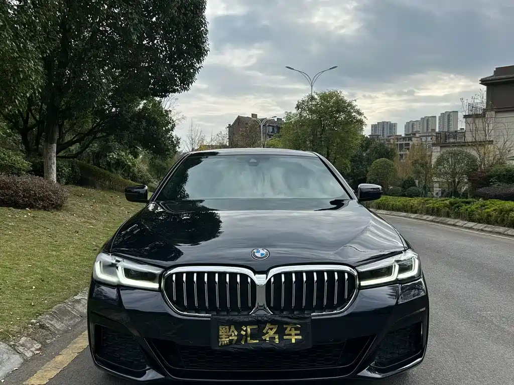 BMW 5 Series — миниатюра 2