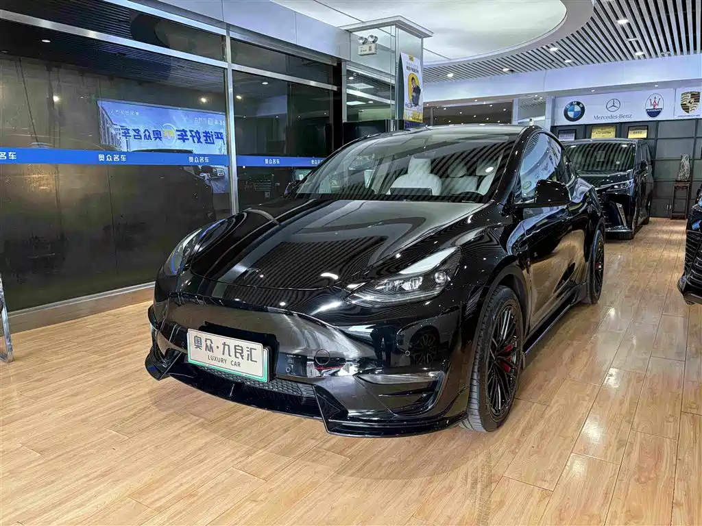 Tesla Model Y — миниатюра 3