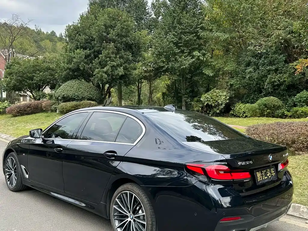 BMW 5 Series — миниатюра 4