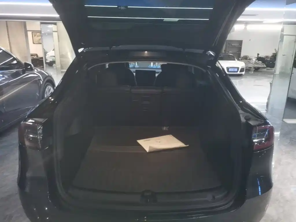 Tesla Model Y — миниатюра 19