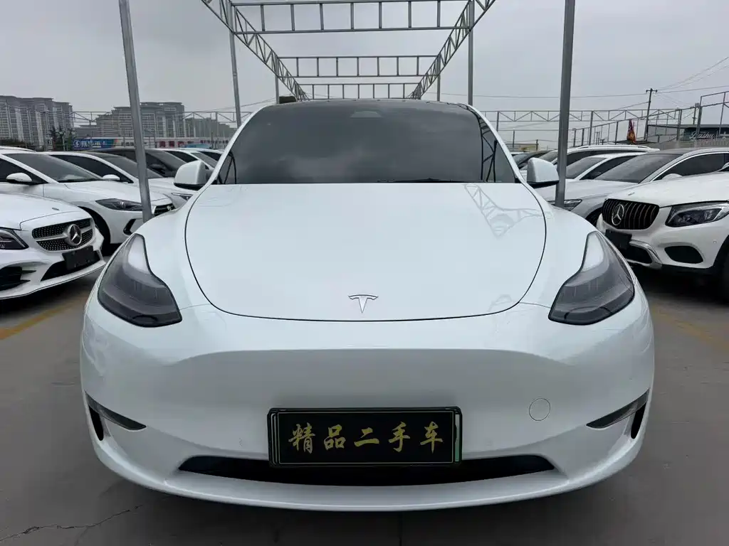 Tesla Model Y — миниатюра 2