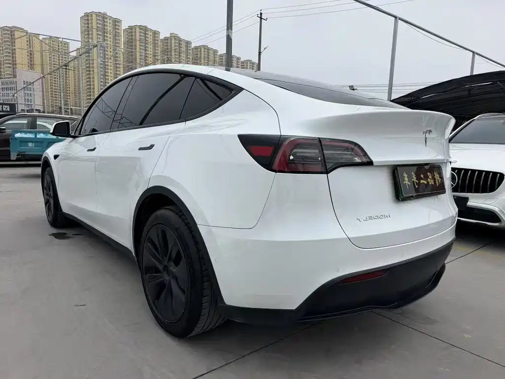 Tesla Model Y — миниатюра 9