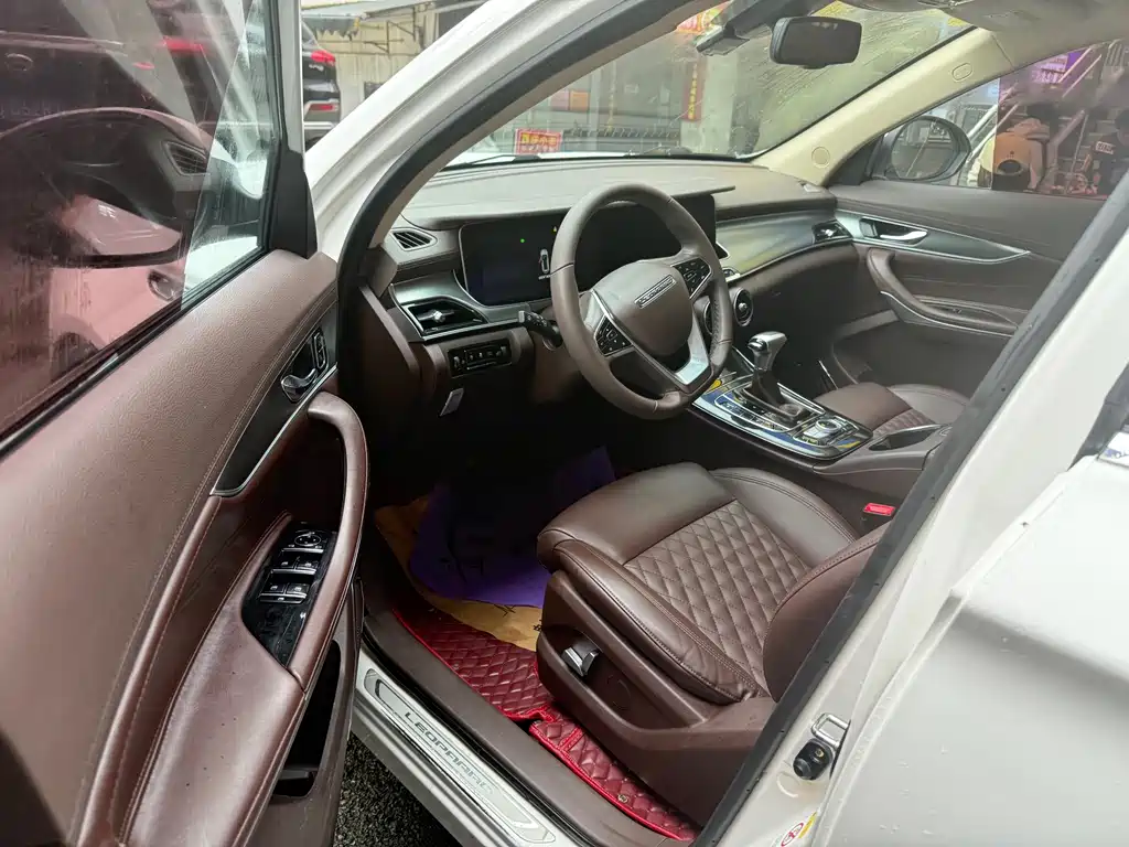Leopaard Mattu — миниатюра 4