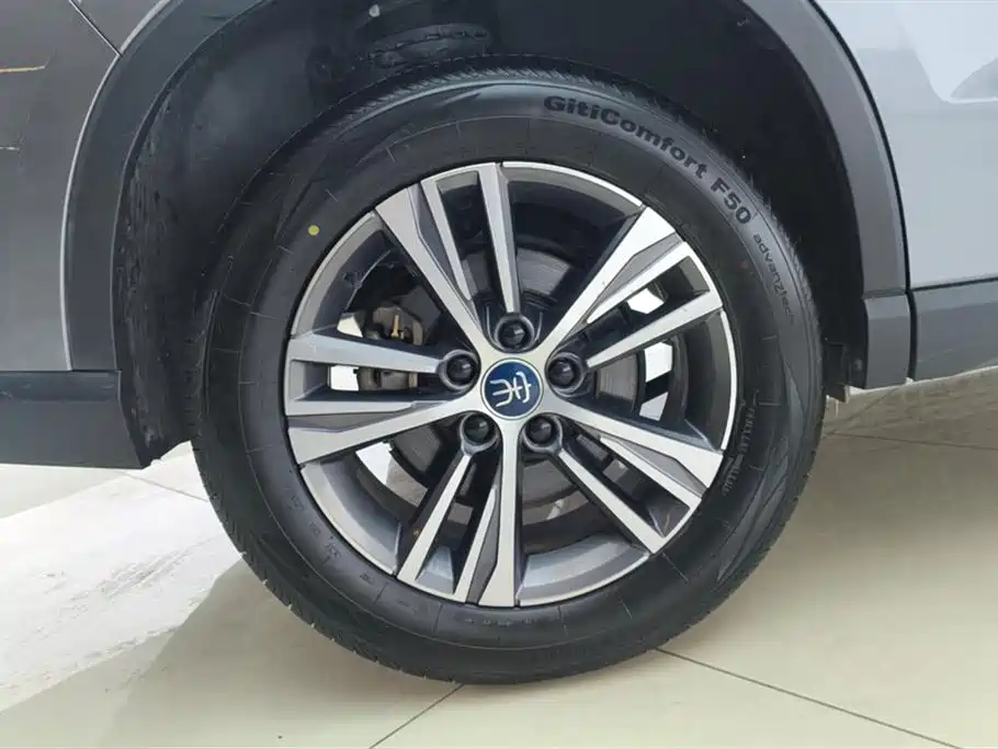 BYD SONGJIANG NEW ENERGY