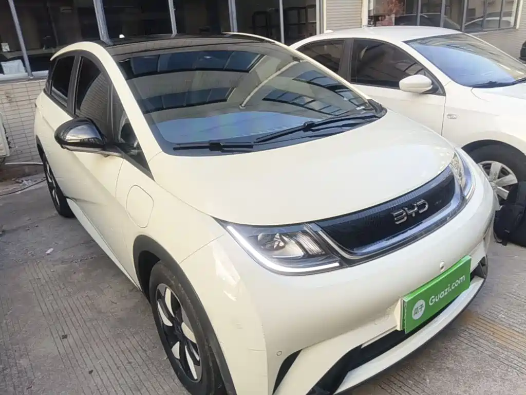BYD Dolphin — миниатюра 4