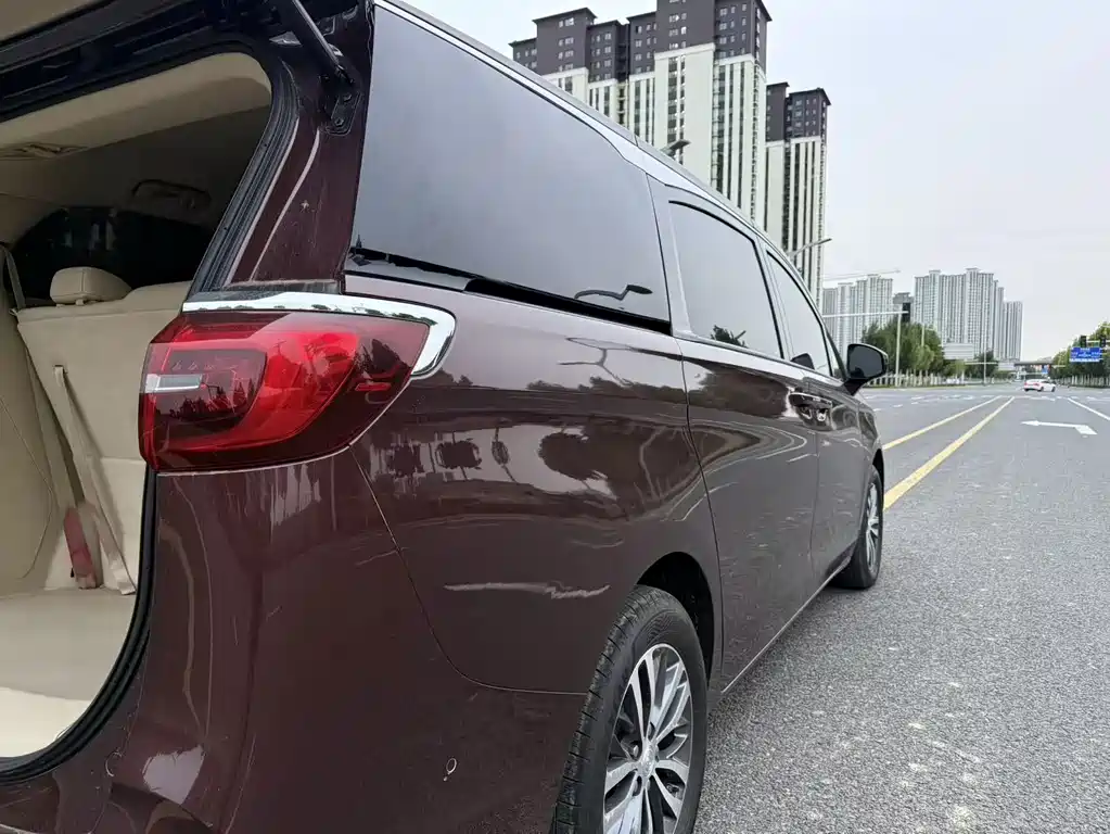 Buick GL8 — миниатюра 17