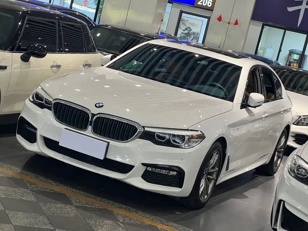 BMW 5 Series (Import) 2018