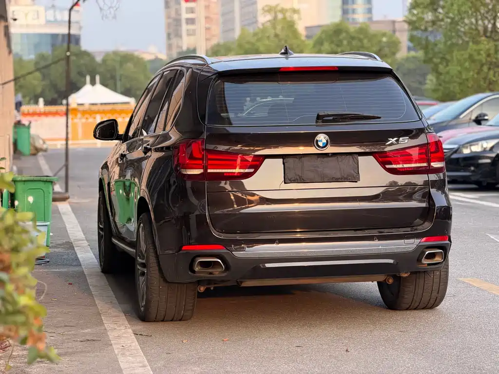 BMW X5 (Import) — миниатюра 12