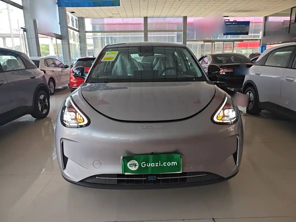Geely Geome Xingyuan 2026 310km