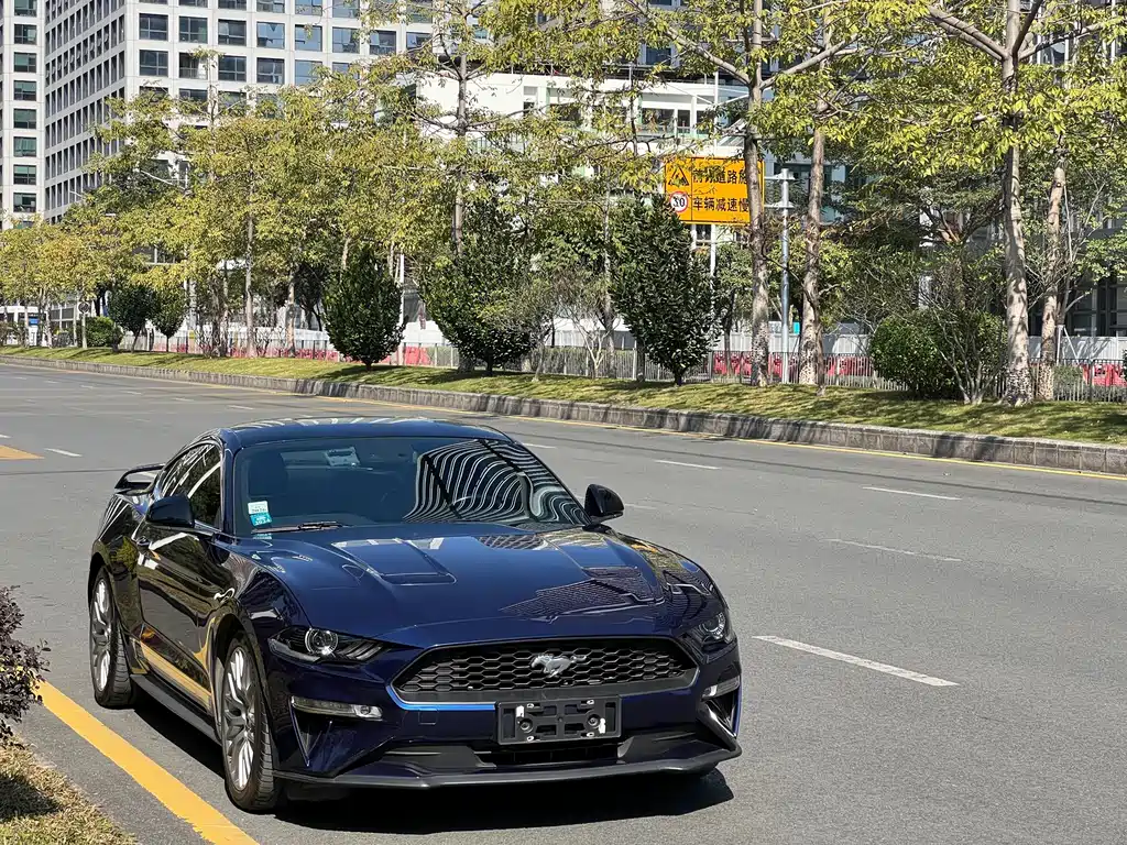 Ford Mustang — миниатюра 3