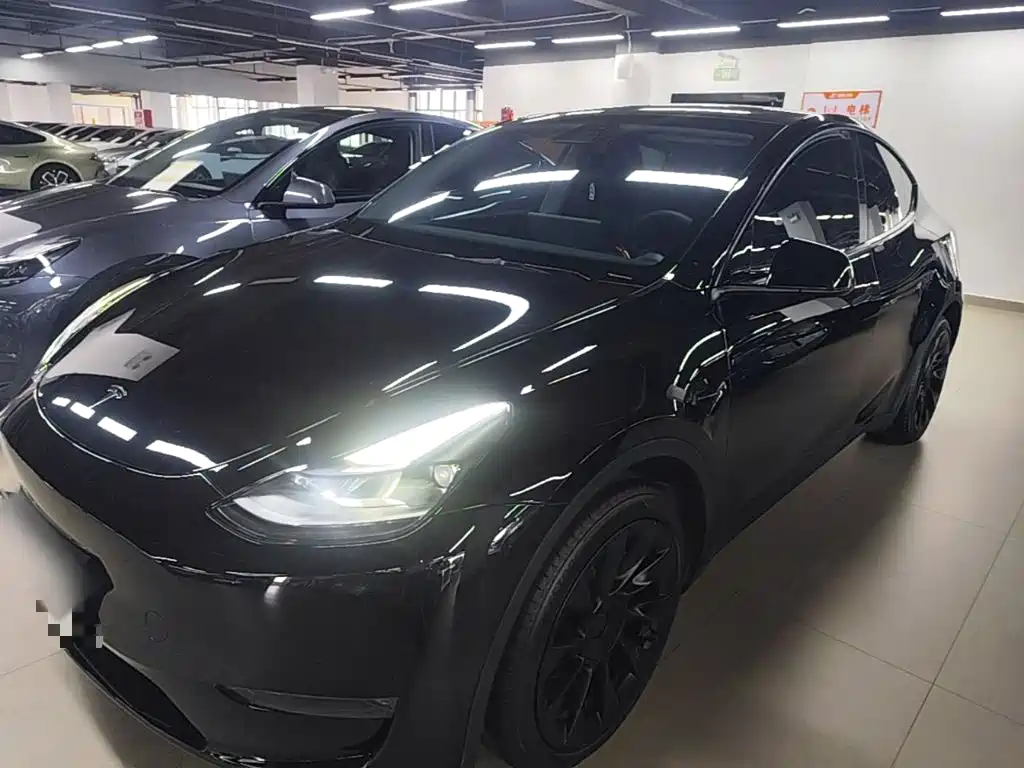 Tesla Model Y — миниатюра 2