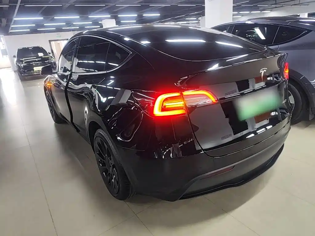 Tesla Model Y — миниатюра 5