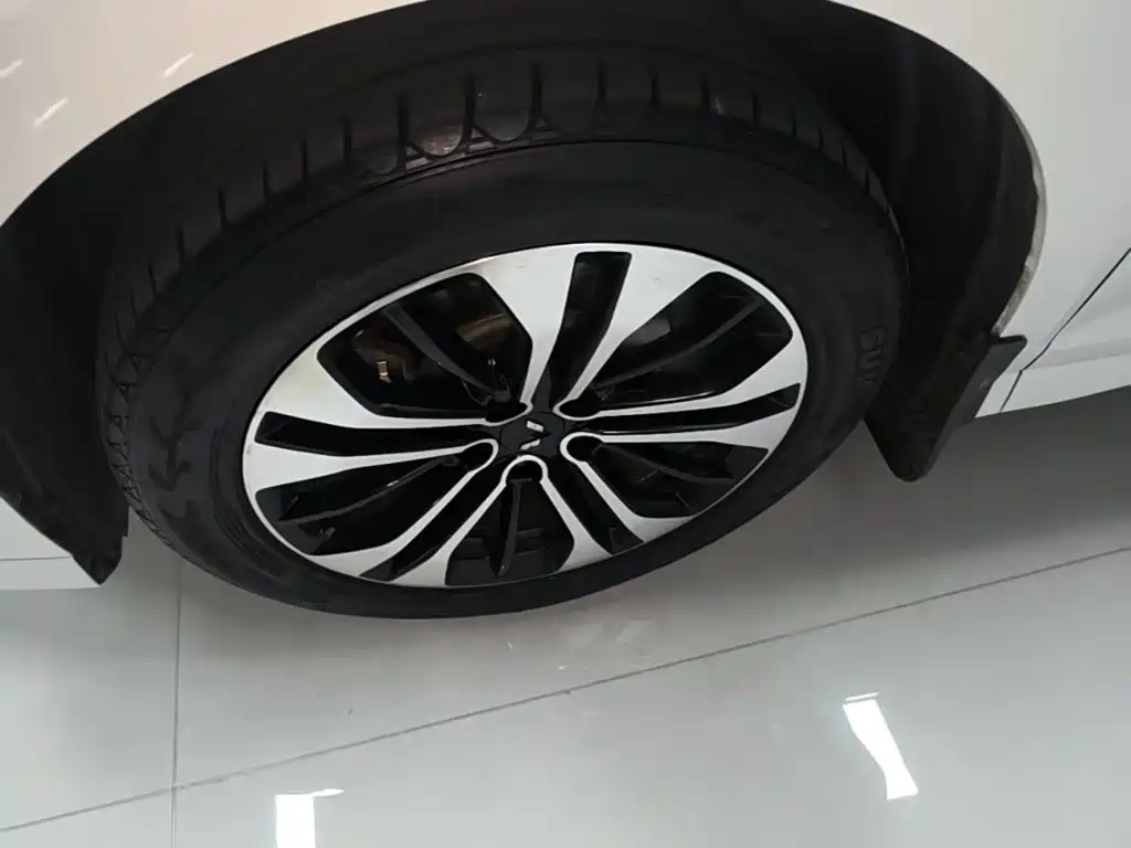 Wuling Victory — миниатюра 23