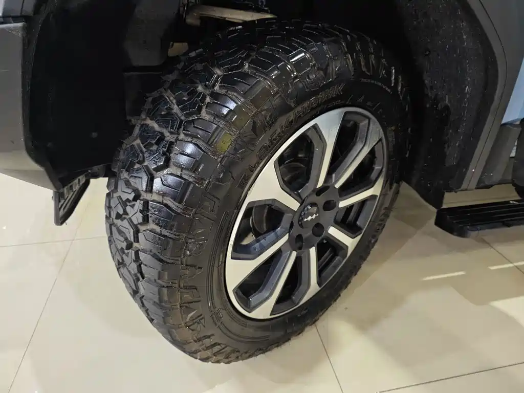 Fang Cheng Bao Leopard 5 — миниатюра 11