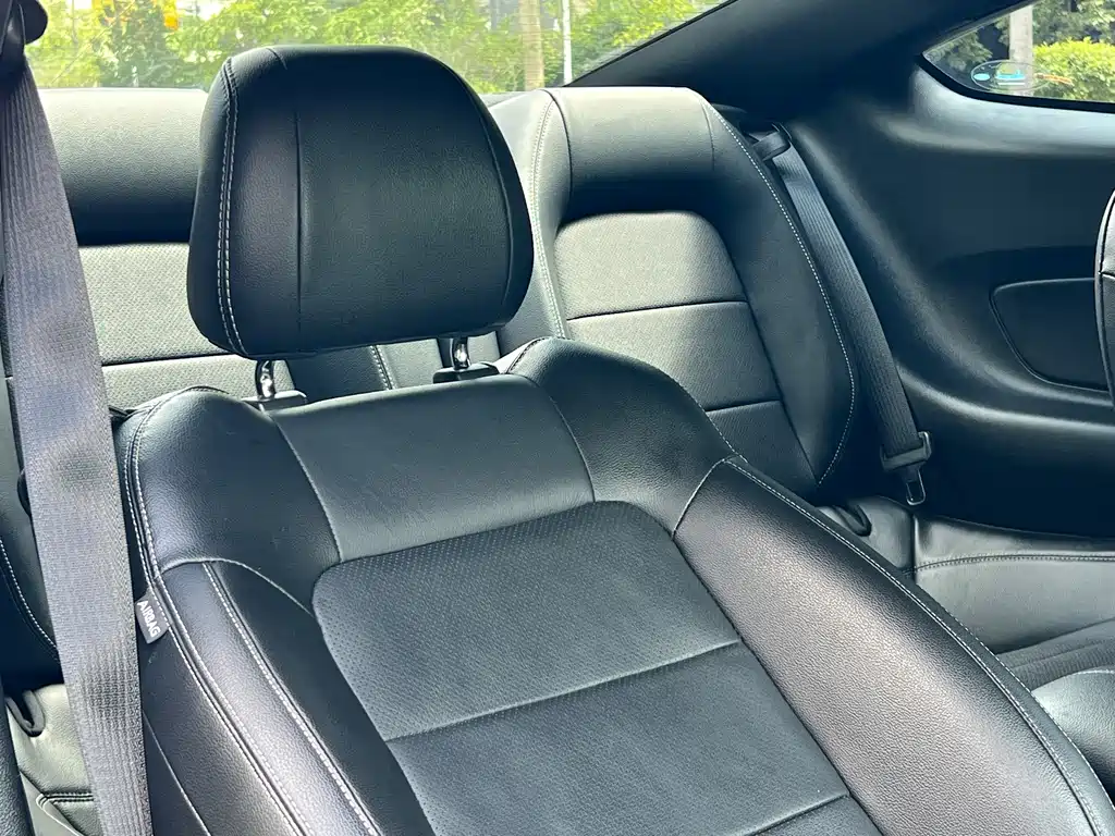 Ford Mustang — миниатюра 14