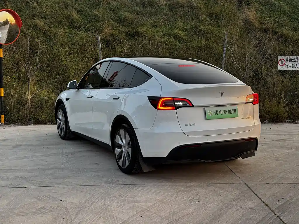 Tesla Model Y — миниатюра 12