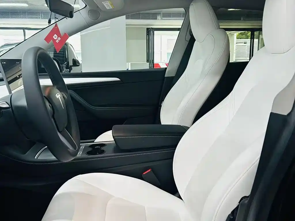 Tesla Model Y — миниатюра 7