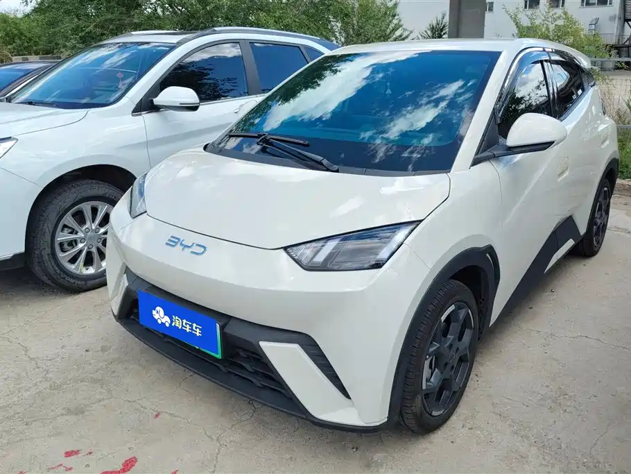 BYD Seagull 2025 305km Vitality Edition