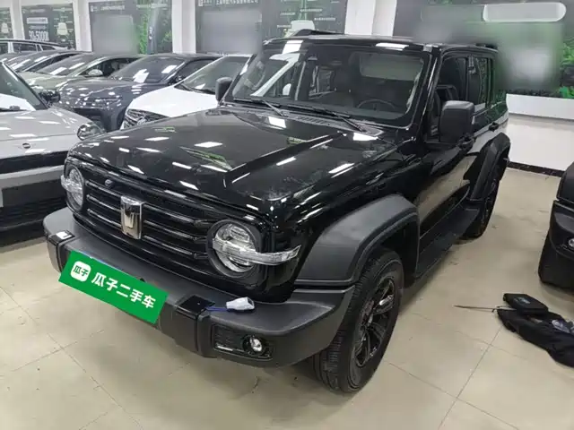 2023 TANK 300