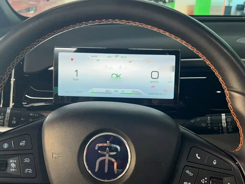 BYD Pro New Energy — миниатюра 5