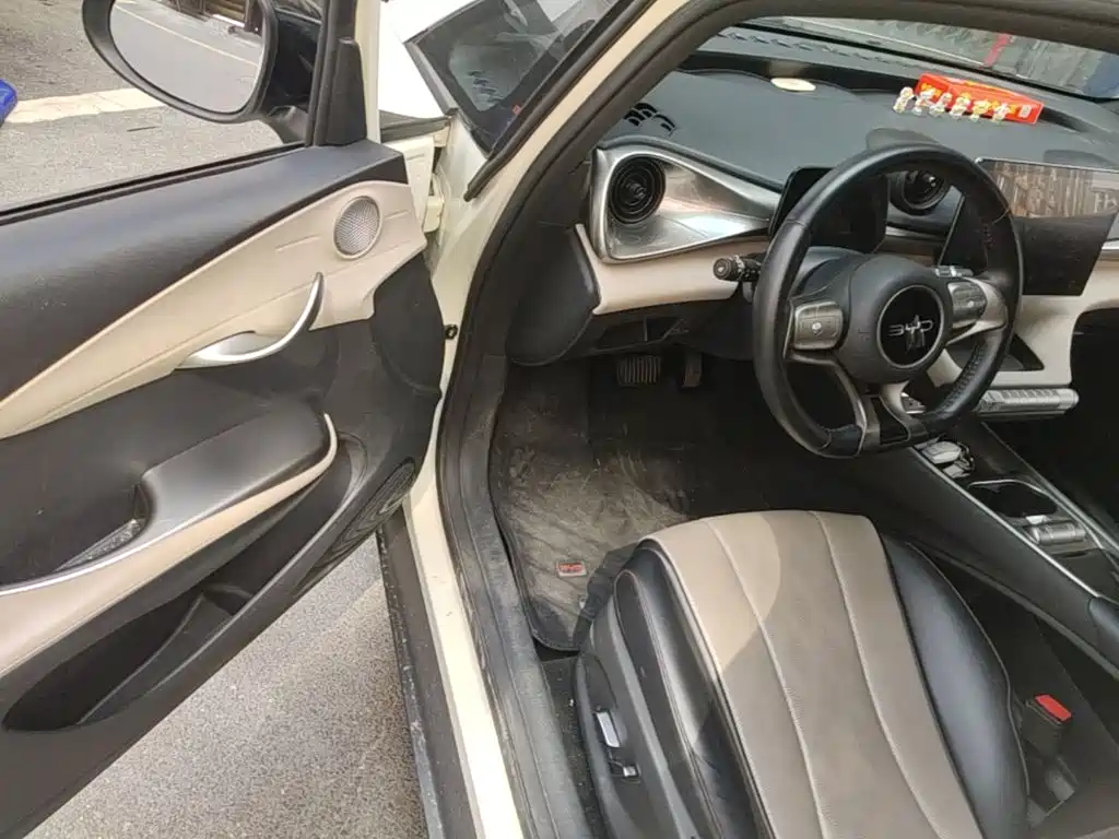 BYD Dolphin — миниатюра 16
