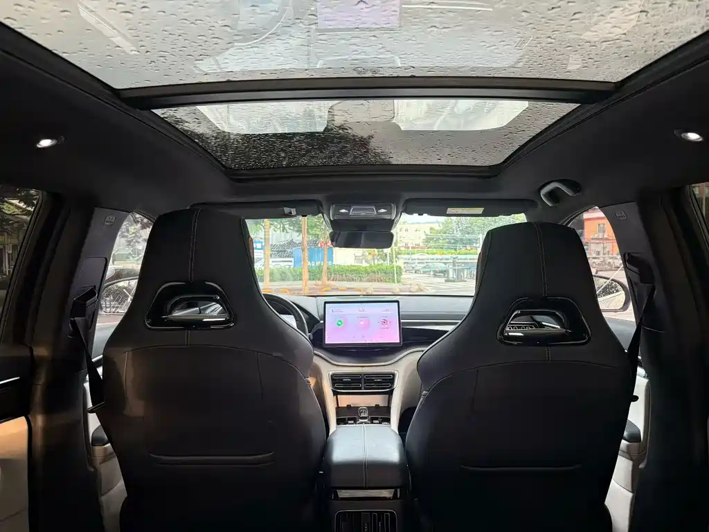 BYD PLUS New Energy — миниатюра 7