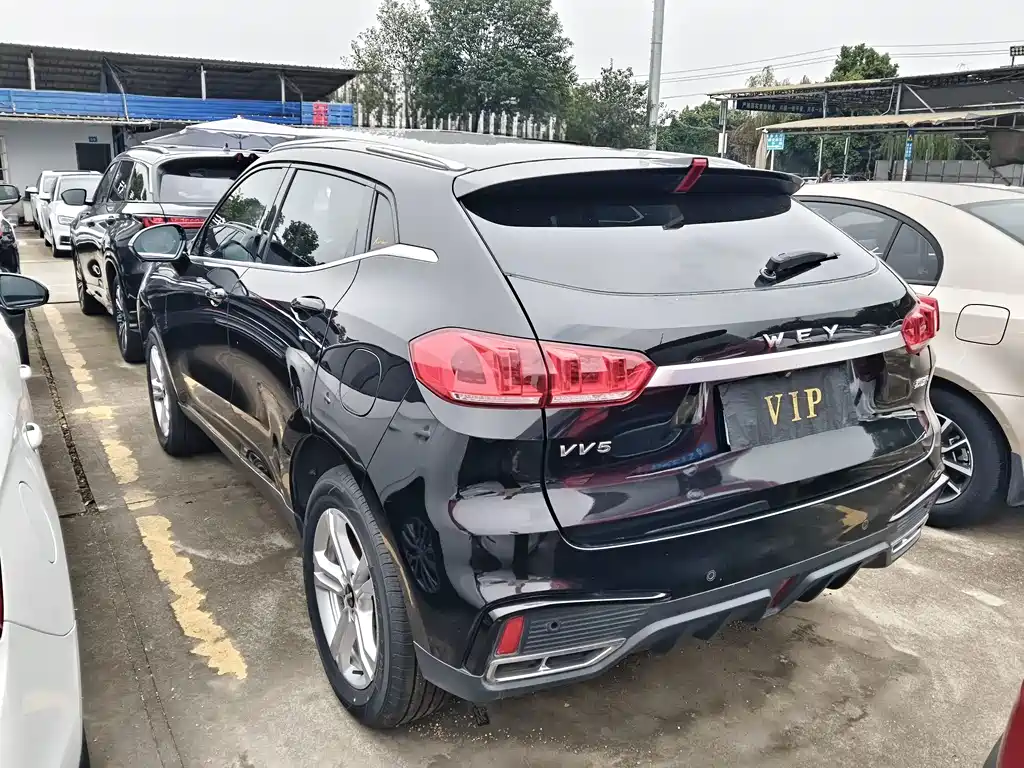 Wey Wey VV5 — миниатюра 15