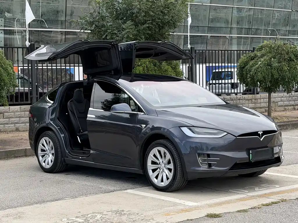 Tesla Model X — миниатюра 10