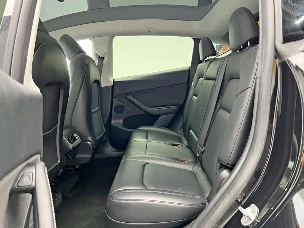 Tesla Model Y — миниатюра 15