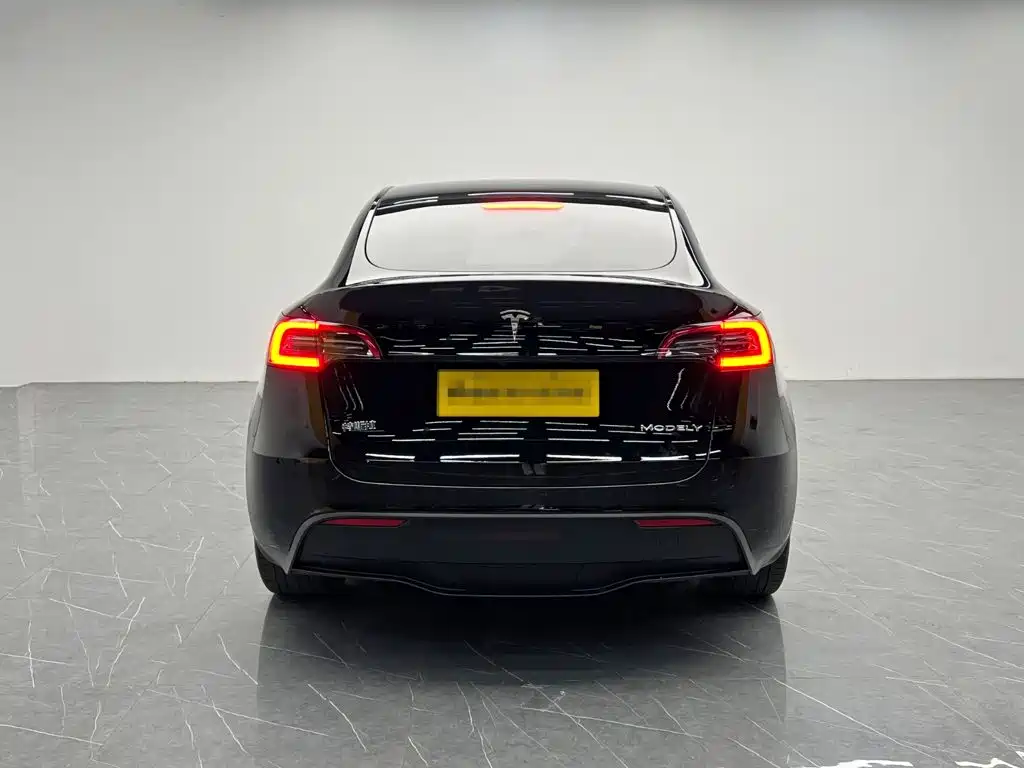 Tesla Model Y — миниатюра 5