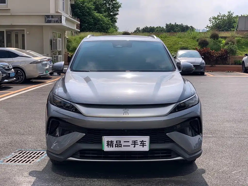 BYD Pro New Energy — миниатюра 2