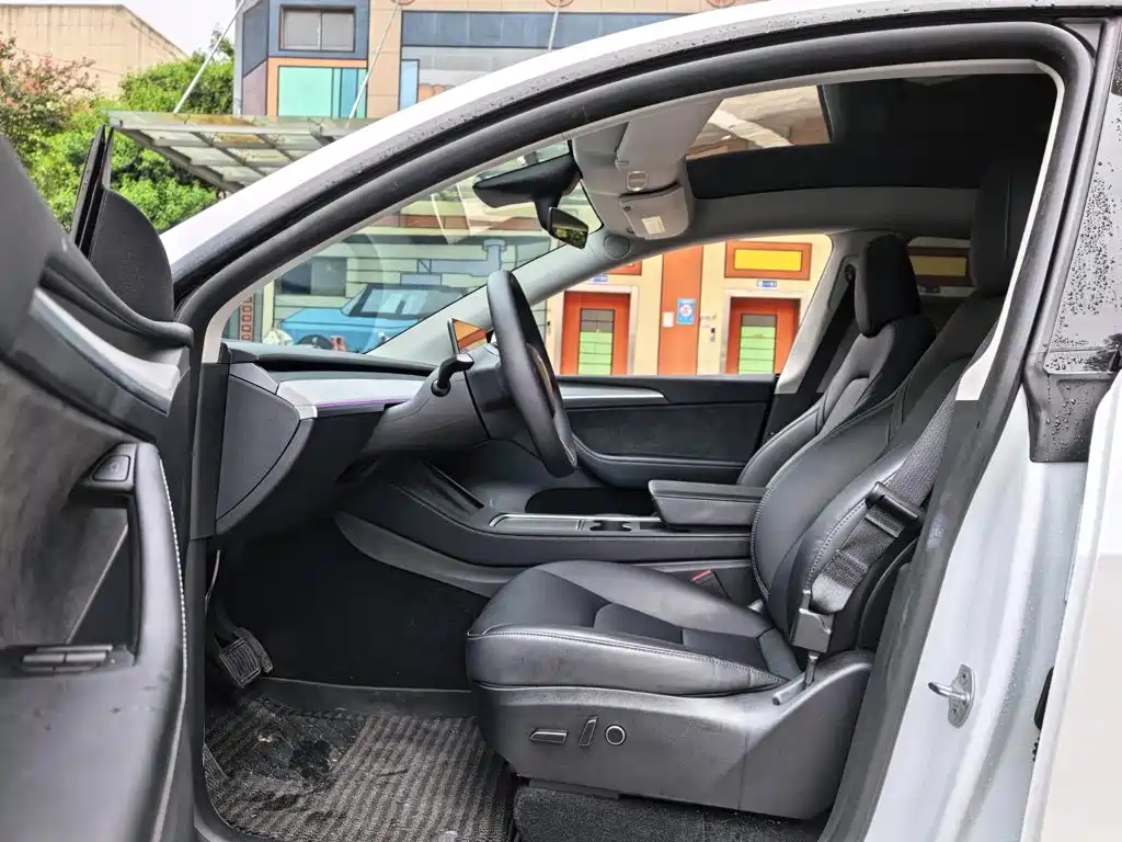 Tesla Model Y — миниатюра 5