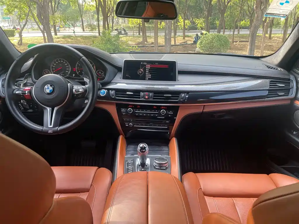BMW X6 M — миниатюра 7