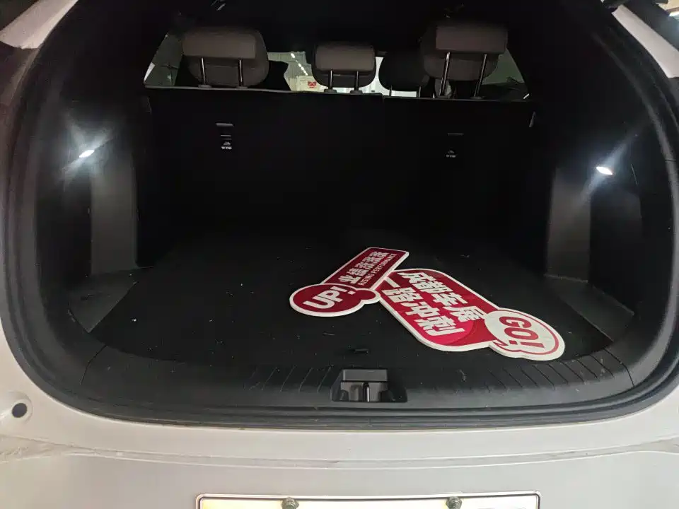 BYD Sealion 06 — миниатюра 9