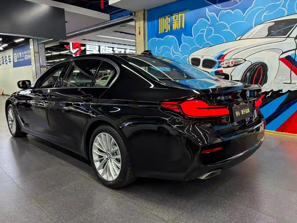BMW 5 Series New Energy — миниатюра 3