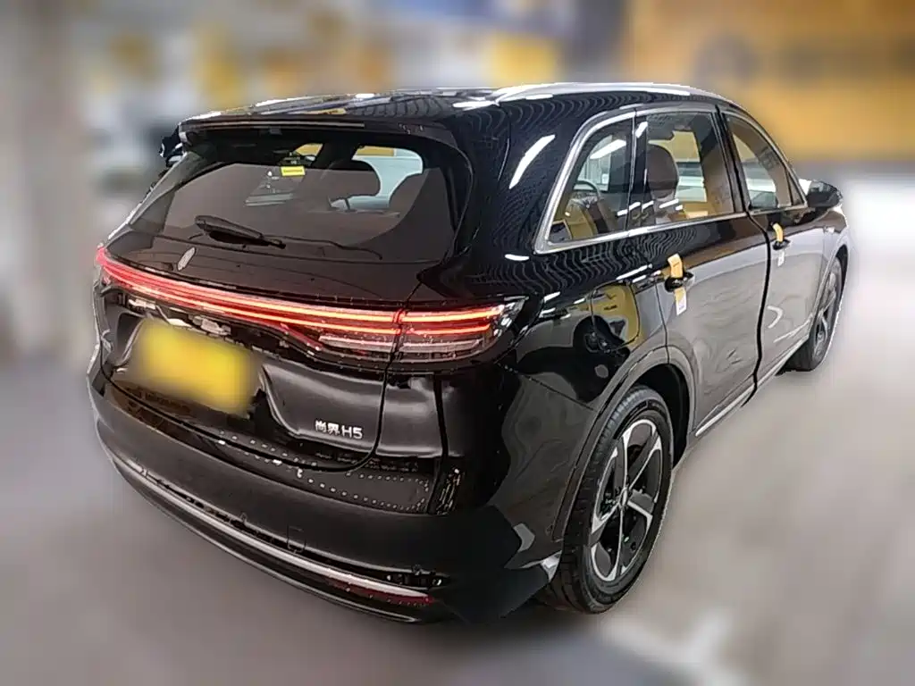 Shangjie Shangjie H5 — миниатюра 10