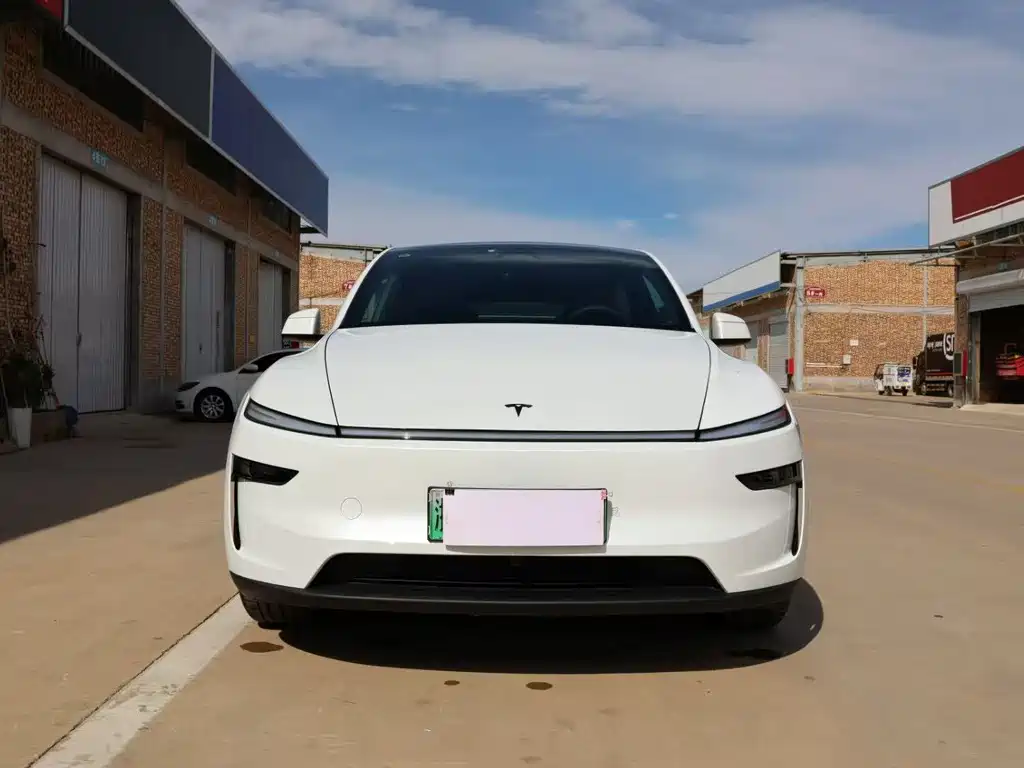 Tesla Model Y — миниатюра 2