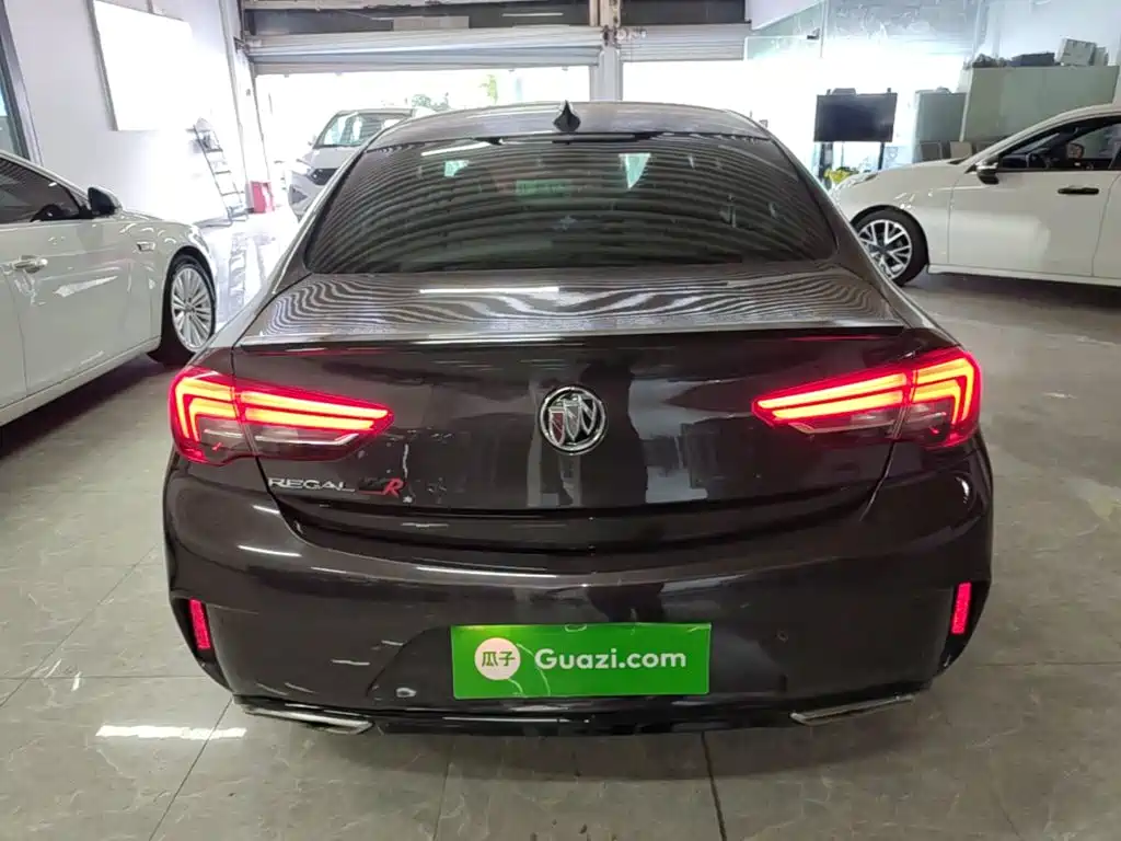 Buick Regal — миниатюра 6