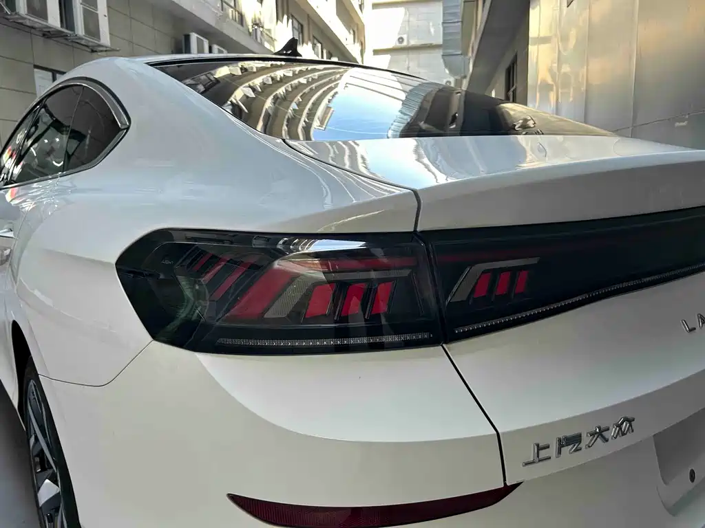 Volkswagen Lamando — миниатюра 4