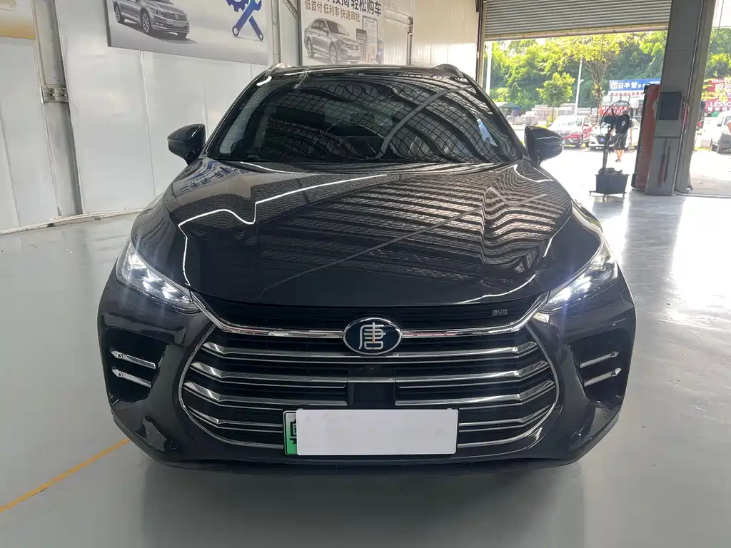 BYD Tang New Energy — миниатюра 2