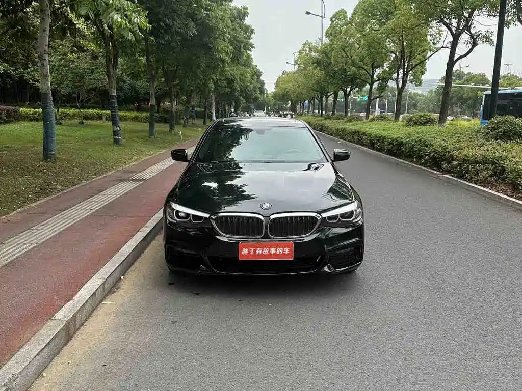 BMW 5 Series 5 2019 530Li Lead M Sport