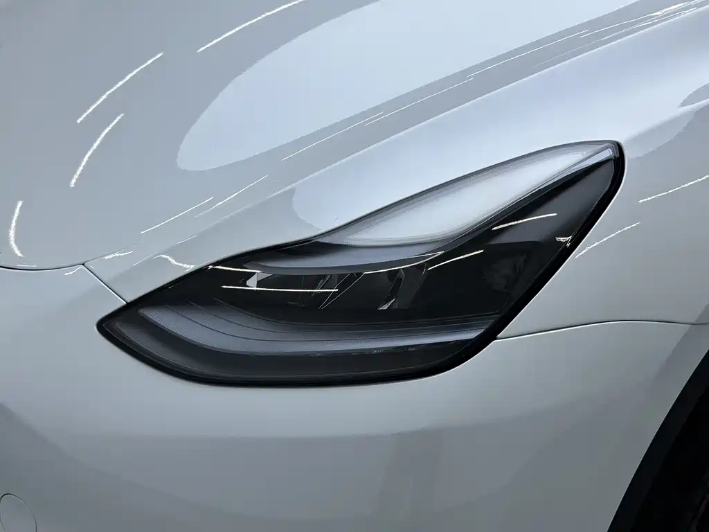 Tesla Model Y — миниатюра 10