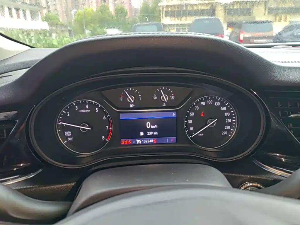 Buick Regal — миниатюра 12