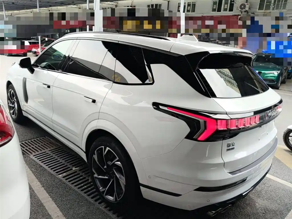 Lynk & Co 09 EM-P 2021 2.0T PHEV Halo мест